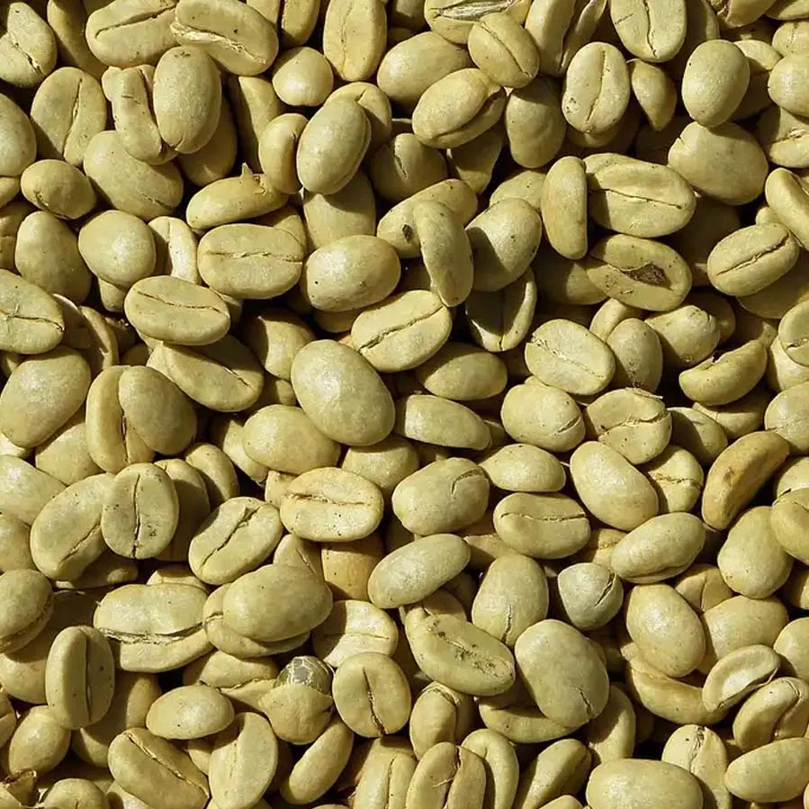 Arabica Coffee Beans, also known as the Arabic coffee, is a species of flowering plant in the coffee and madder family Rubiaceae.